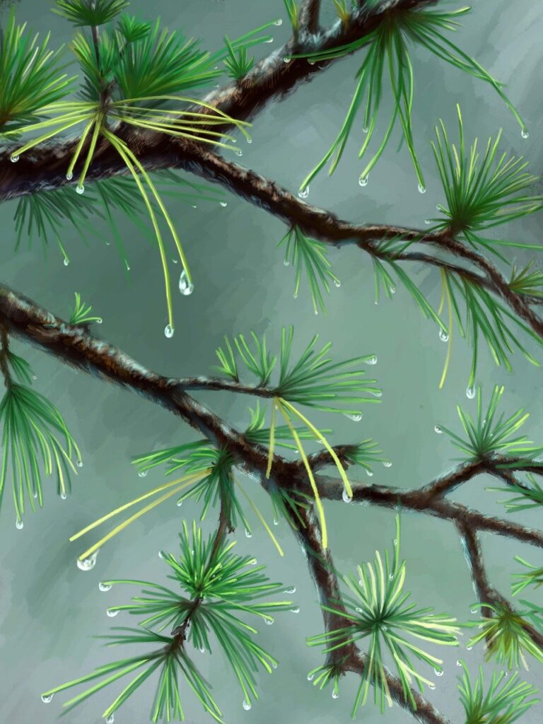 very short pixie haircuts front and back view with fringe