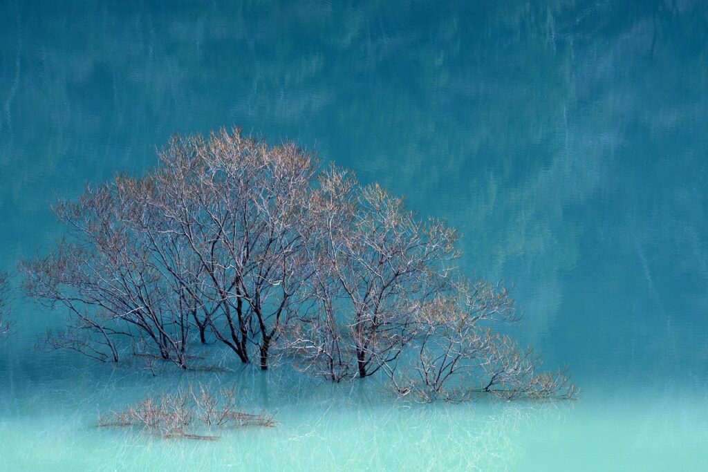 water instead of milk mac and cheese