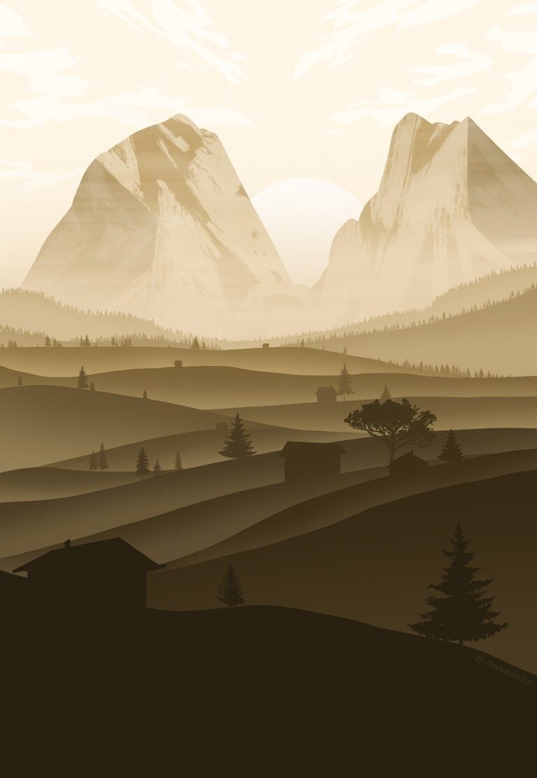 wawa gift card balance phone number