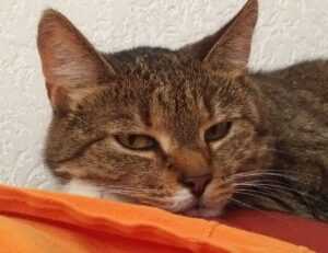 aggr8budgeting financial news by aggreg8