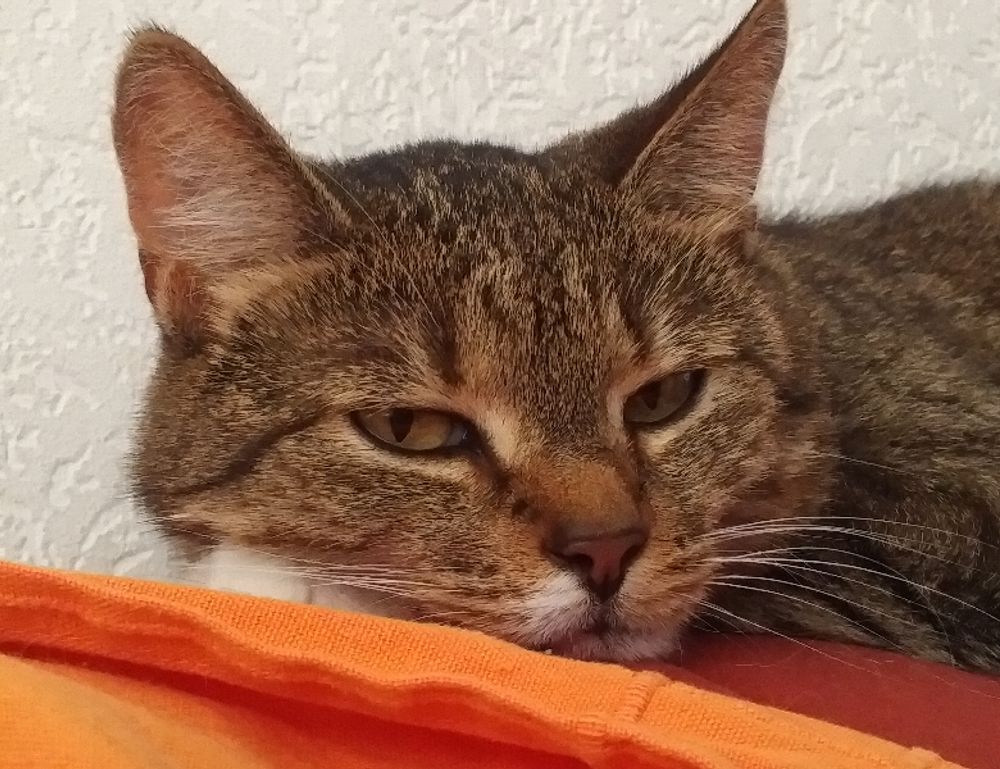 aggr8budgeting financial news by aggreg8