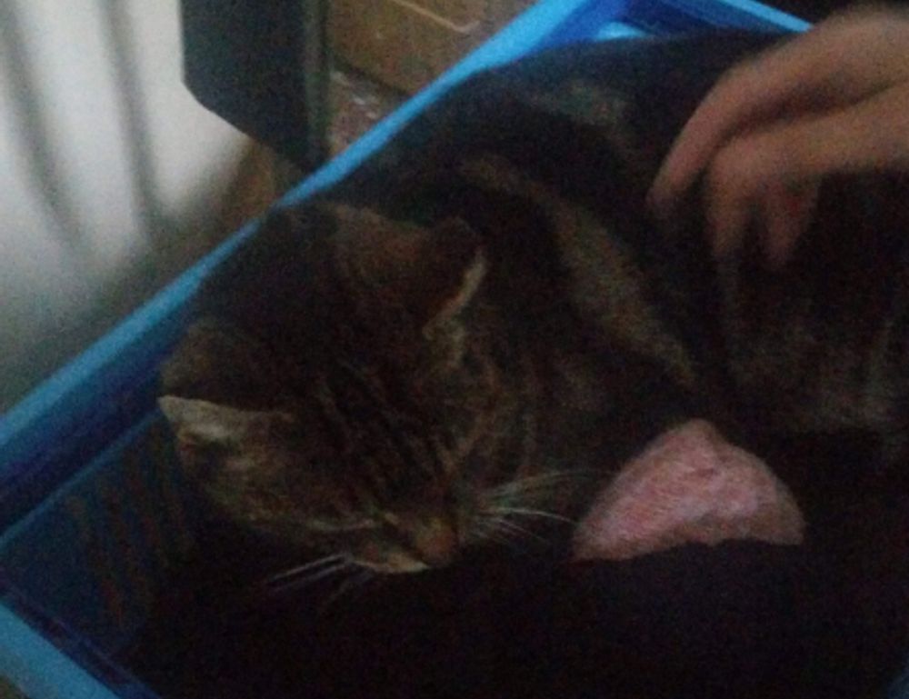 alletomir wealth management