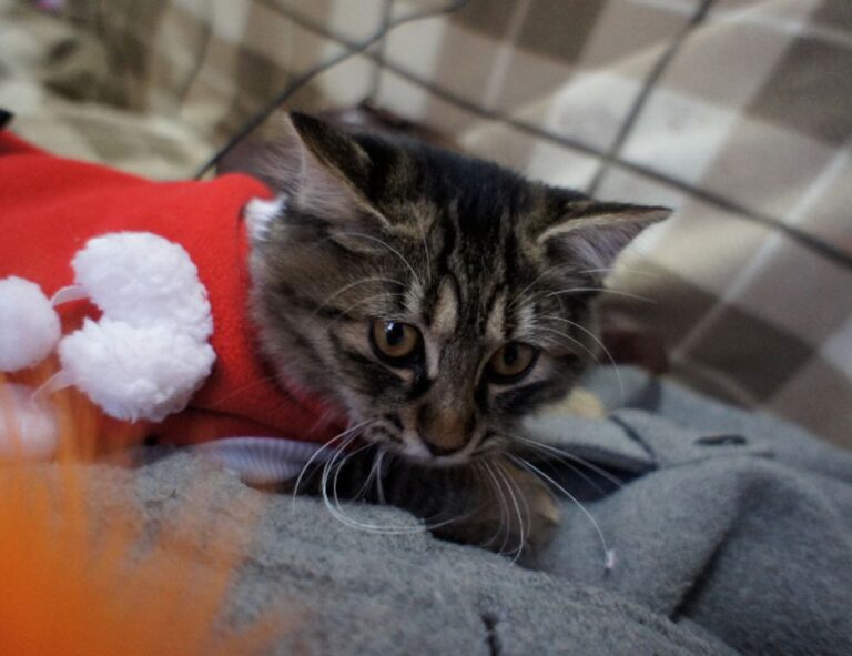 best investment tips for beginners discommercified