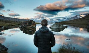 business tips disbusinessfied