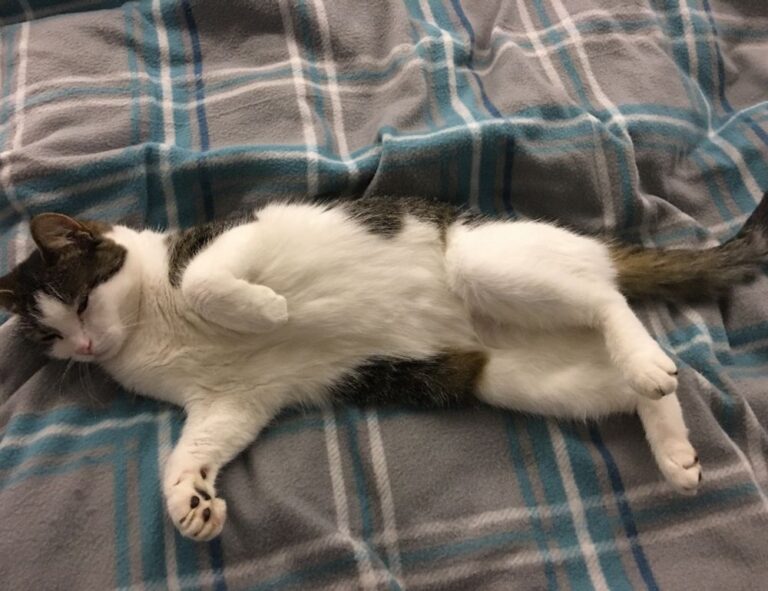 discapitalied economy updates from disquantified