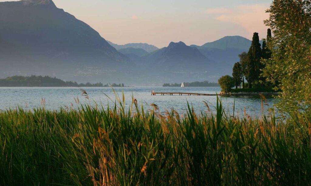 discommercified money guide by disquantified