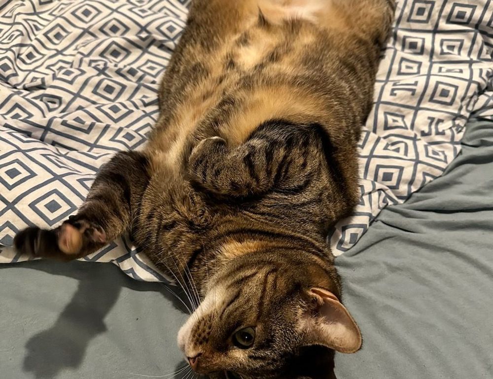 finance guide disbusinessfied