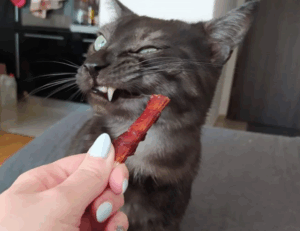 financial guide ontpinvest