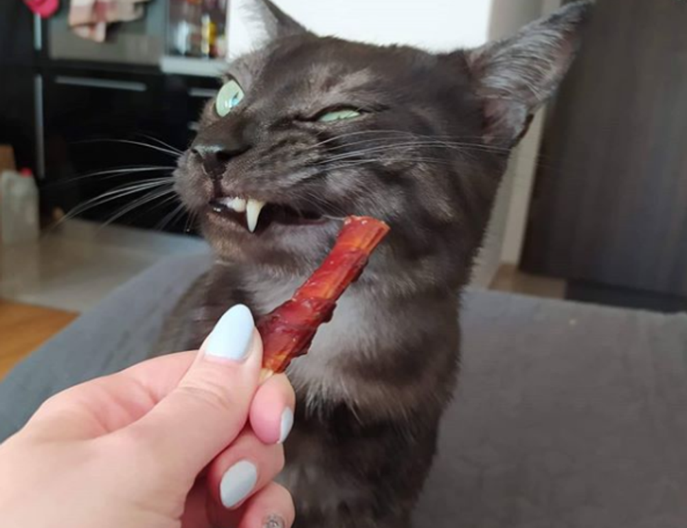 financial guide ontpinvest