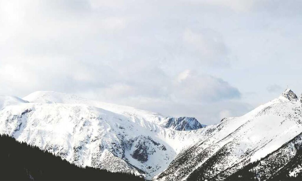 financial tips disbusinessfied