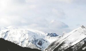 financial tips disbusinessfied