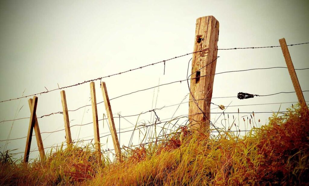 guides aggr8budgeting