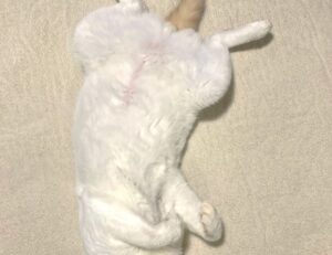 how does alletomir make money