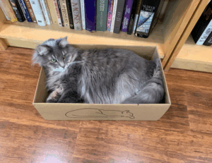 how tazopha investment group work