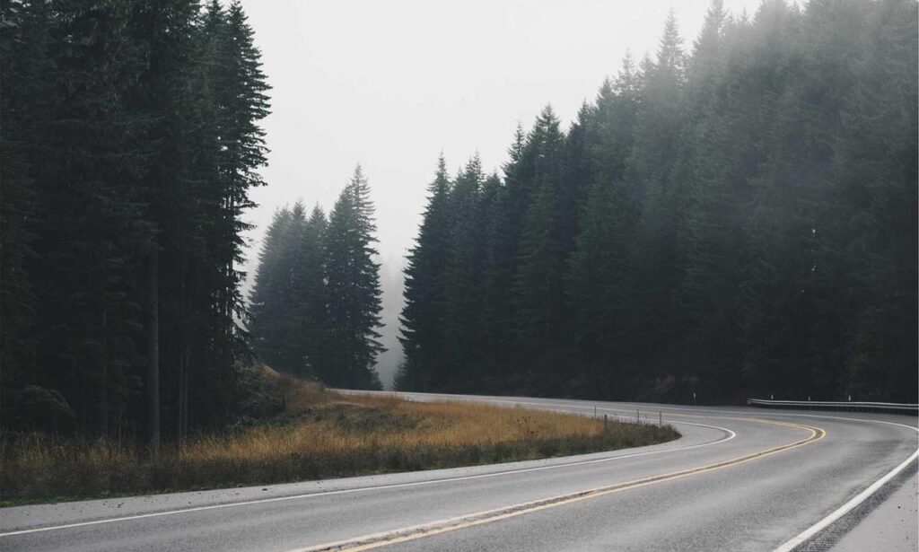 how tazopha investment work