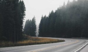 how tazopha investment work