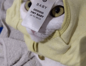 how to invest tips discommercified