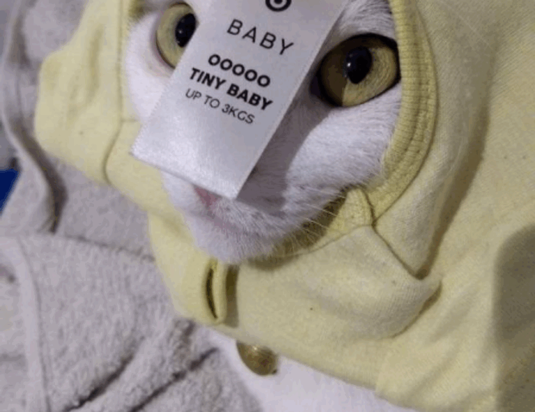 how to invest tips discommercified