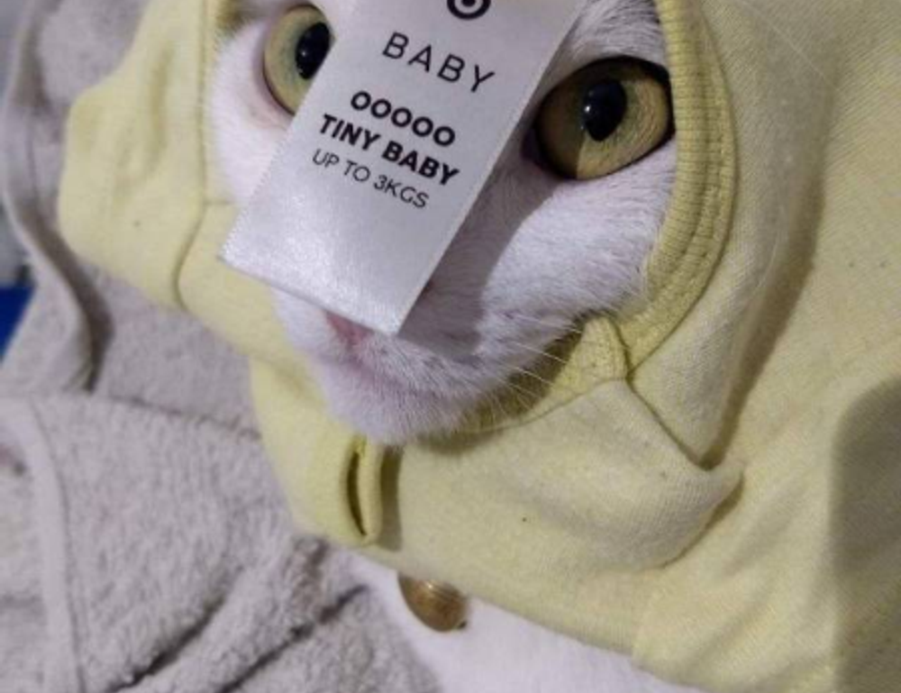 how to invest tips discommercified