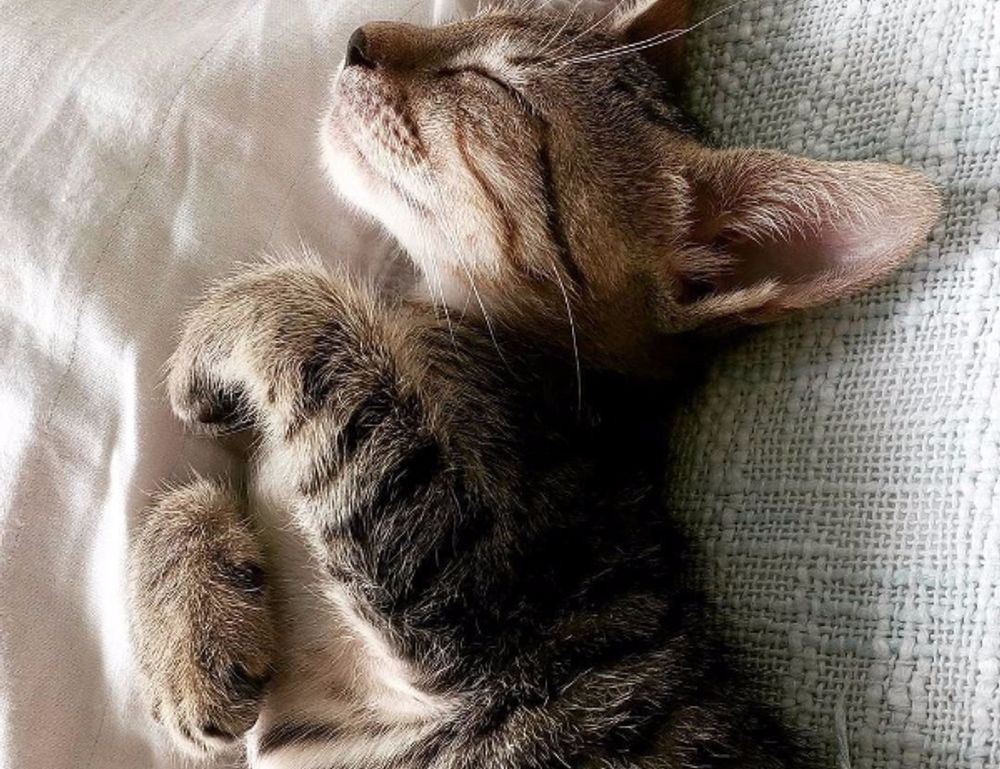 investment hacks disbusinessfied