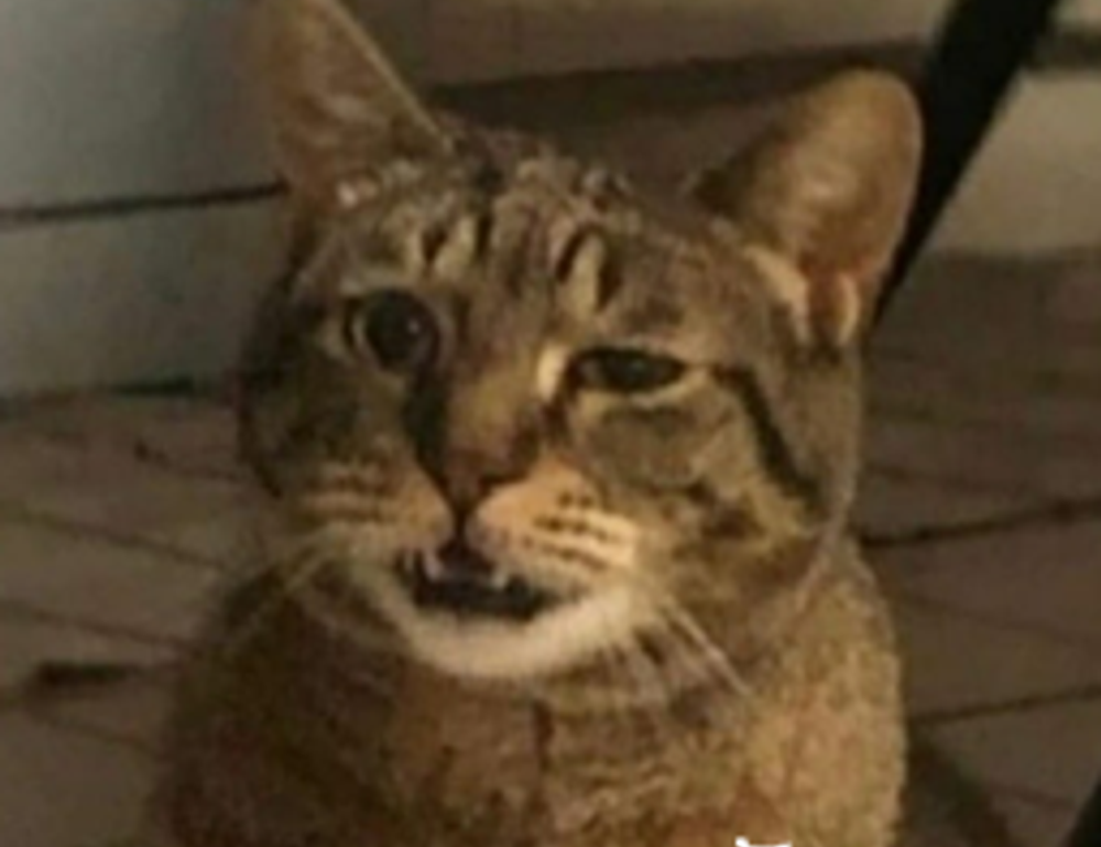 investment hacks disbusinessfied