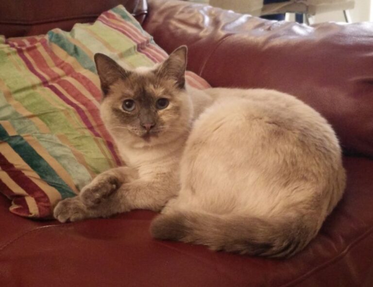 investment hacks discommercified