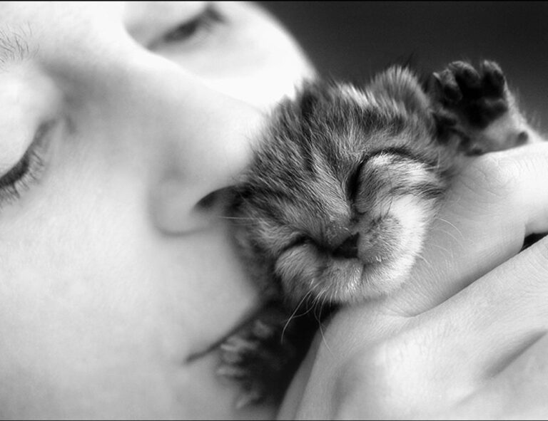 investment tips discommercified