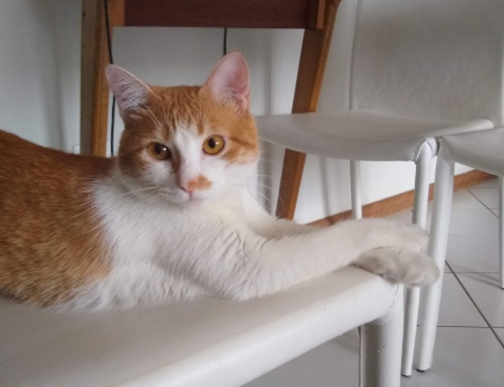 investment tips disfinancified