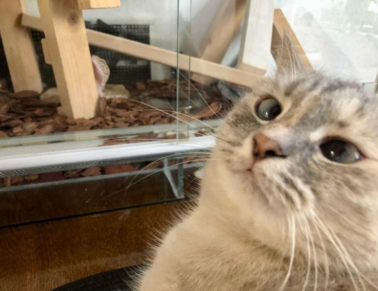 money disbusinessfied