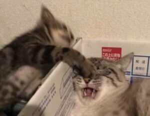 money disbusinessfied