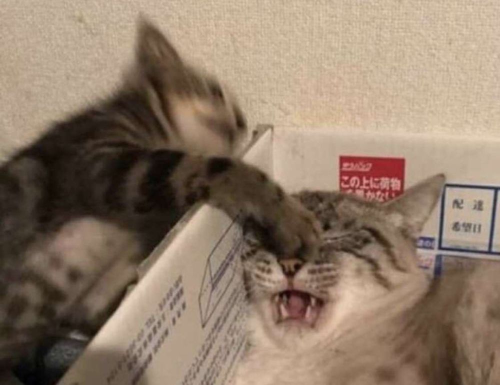 money disbusinessfied