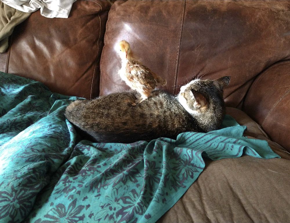 money guide disbusinessfied