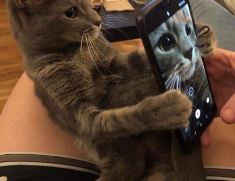 money guide disfinancified