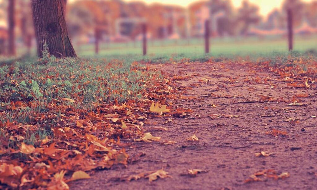 money hacks discommercified