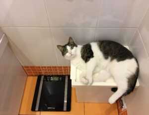 money management ontpinvest