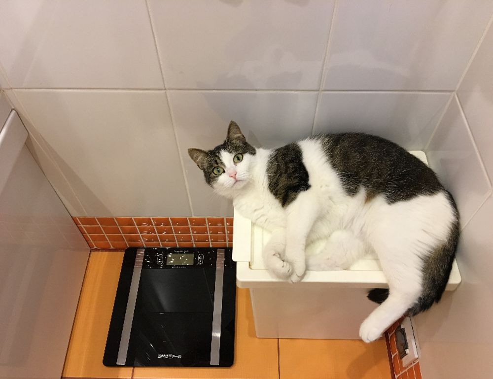 money management ontpinvest