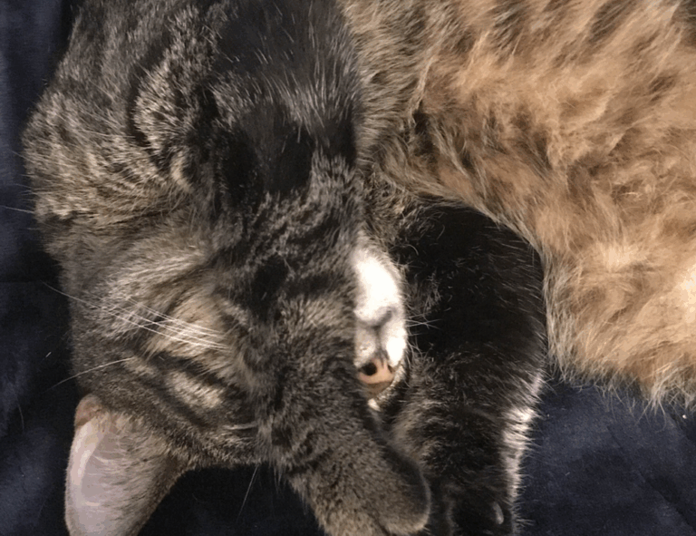 money tips disfinancified