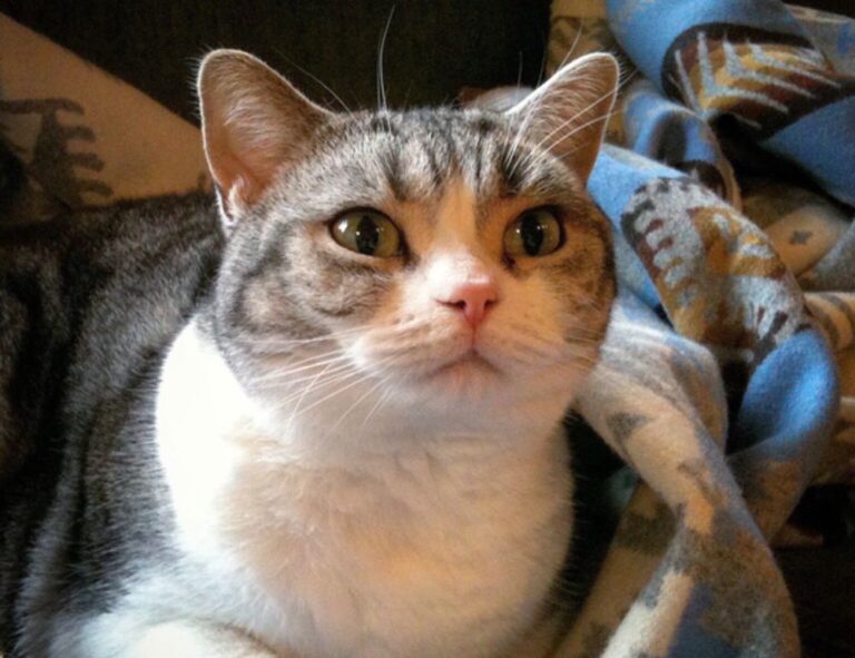 ontpinvest financial tips by ontpress