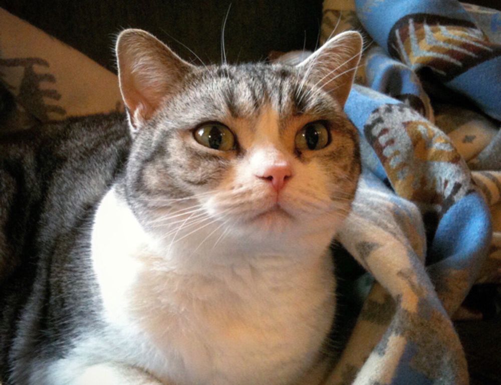 ontpinvest financial tips by ontpress