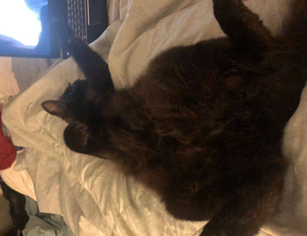 ontpinvest investing ideas from ontpress