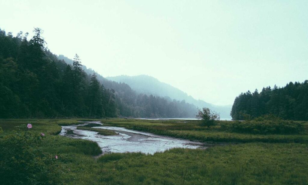 wealth management alletomir