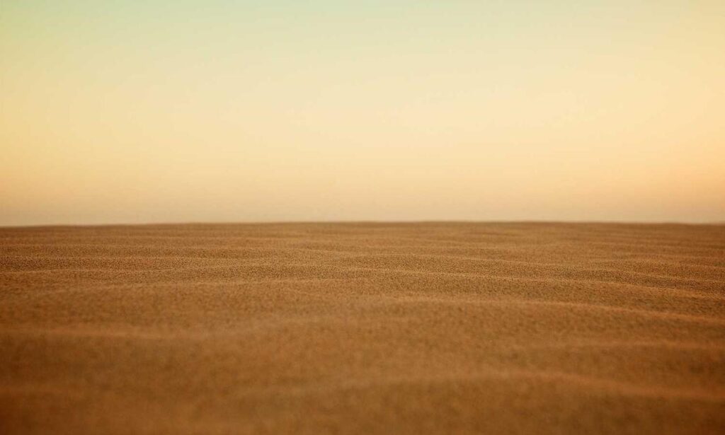 wealth management fees alletomir