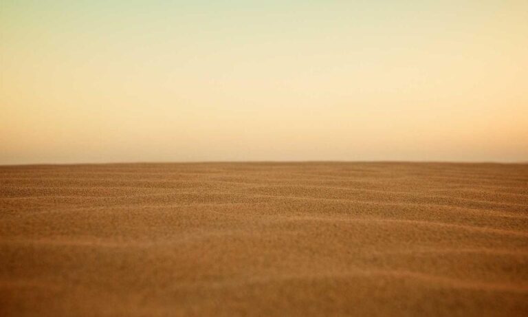 wealth management fees alletomir