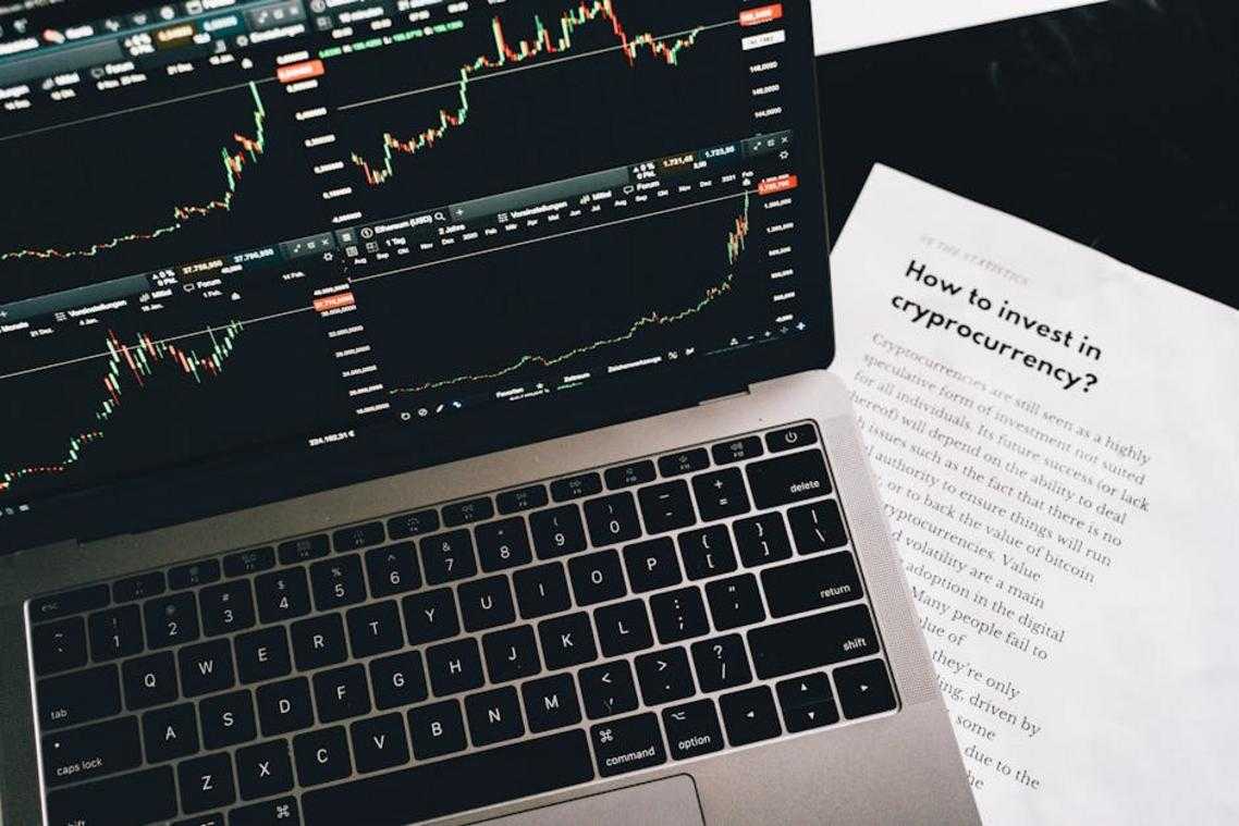economy guide dismoneyfied