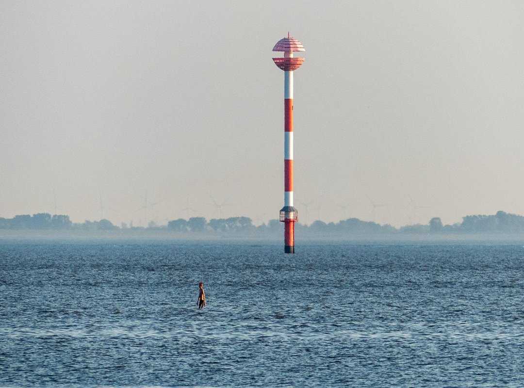 Economy News Discapitalied