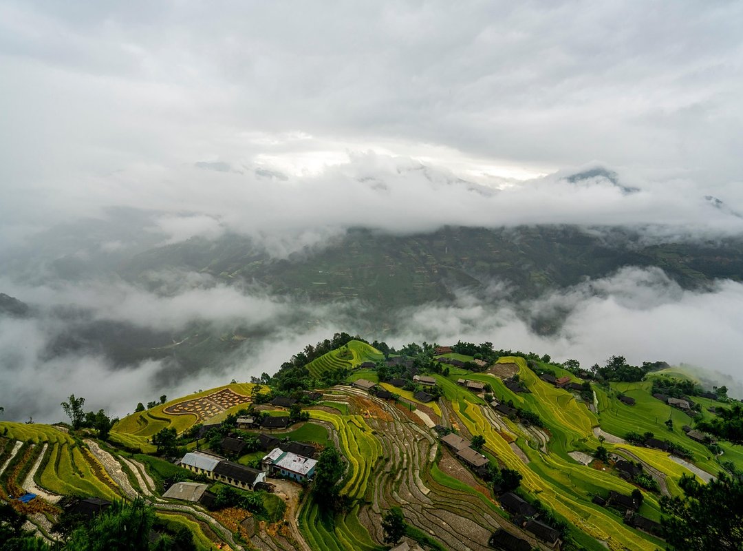 Money Advice Disfinancified