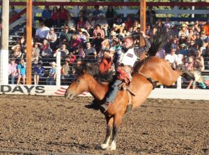 bucking hips meaning