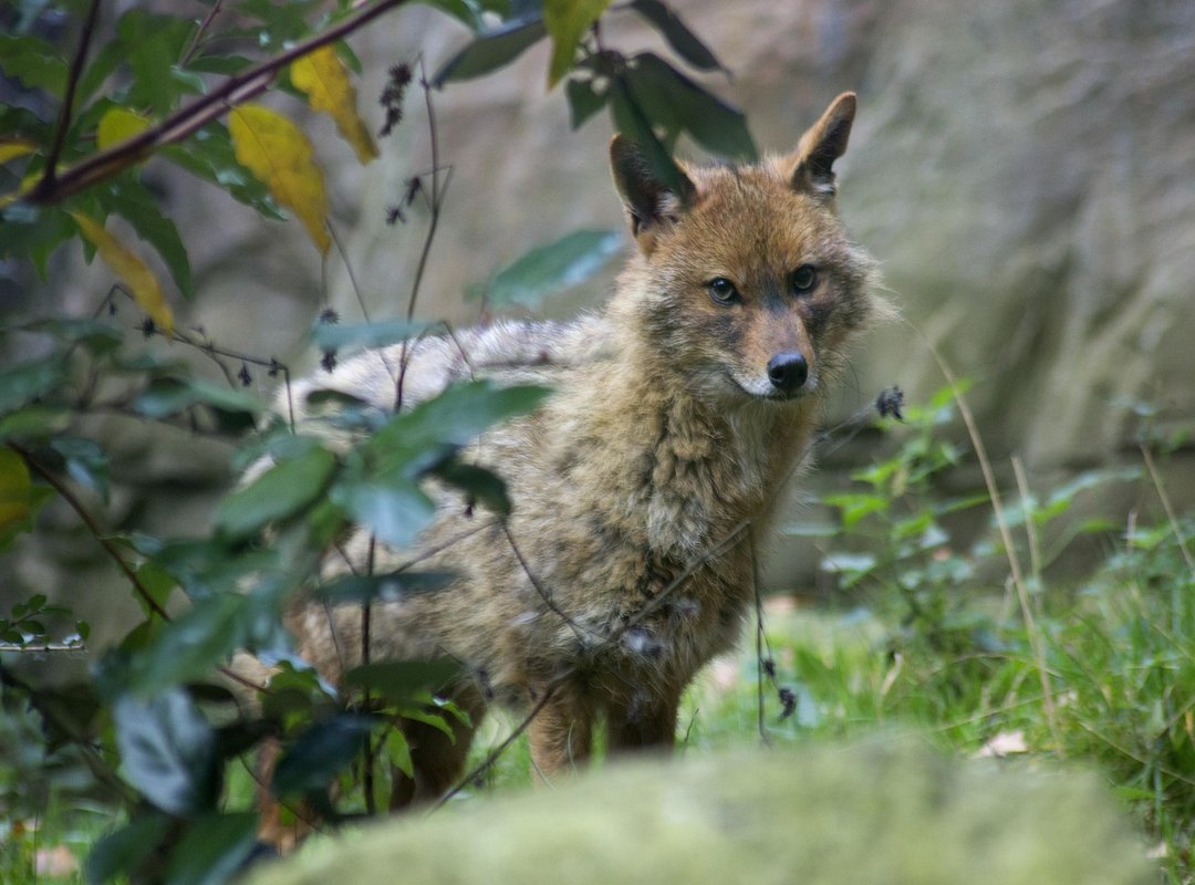 Crypto Rewards in Gaming Pmwplayers