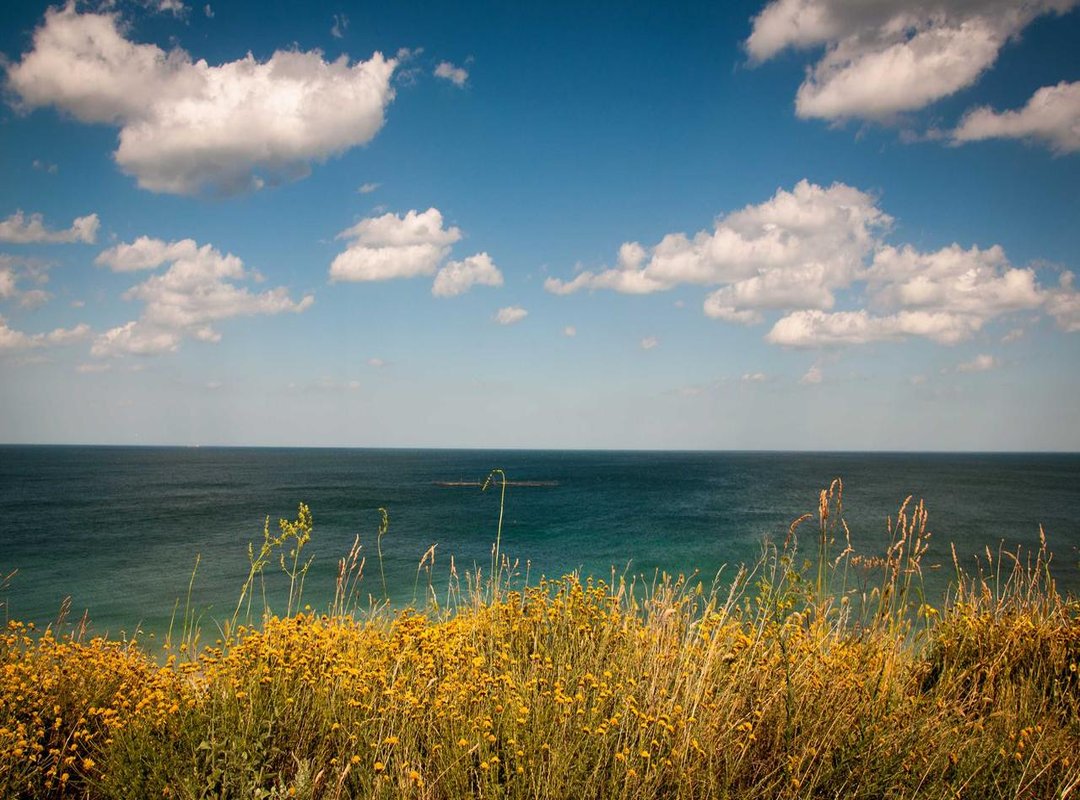 The 'Love-to-Hate' Phenomenon: Why Reddit Stays Obsessed