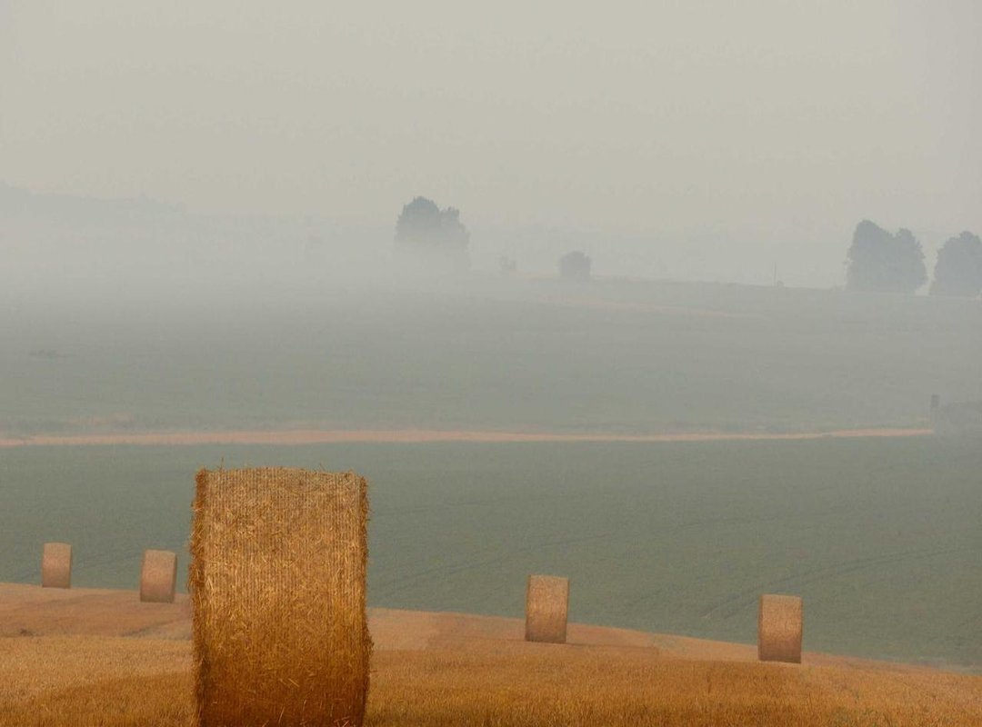 More Than a Coloring Sheet: Fun Soccer-Themed Activities